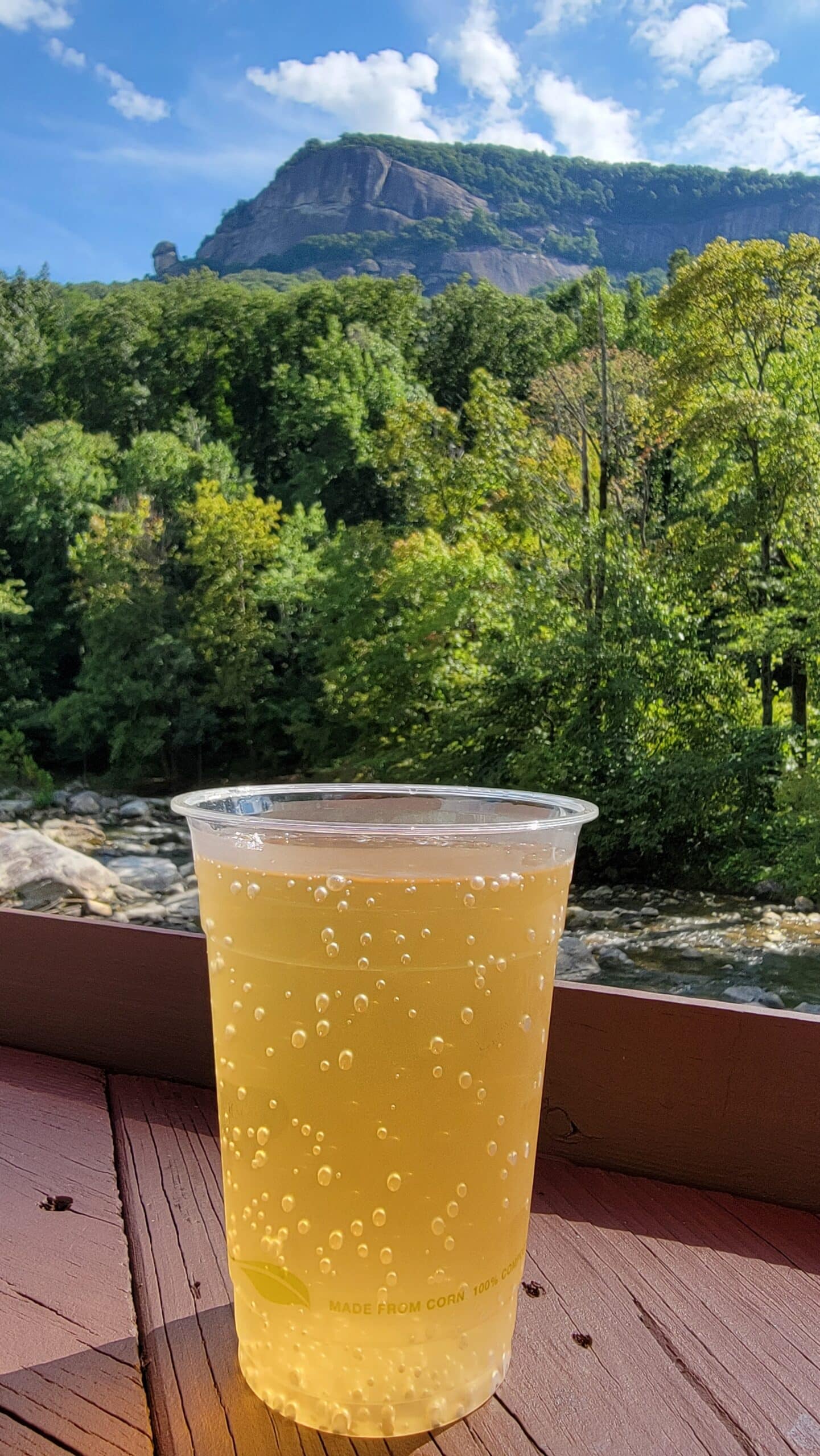 Hickory Nut Gorge Brewery beer with a view