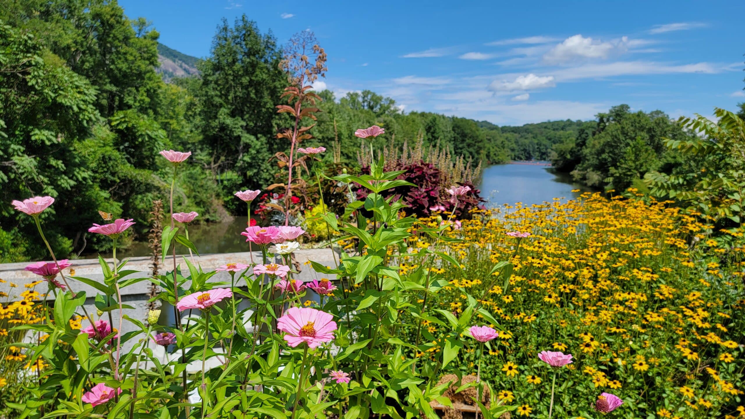 The Lake Lure Flowering Bridge