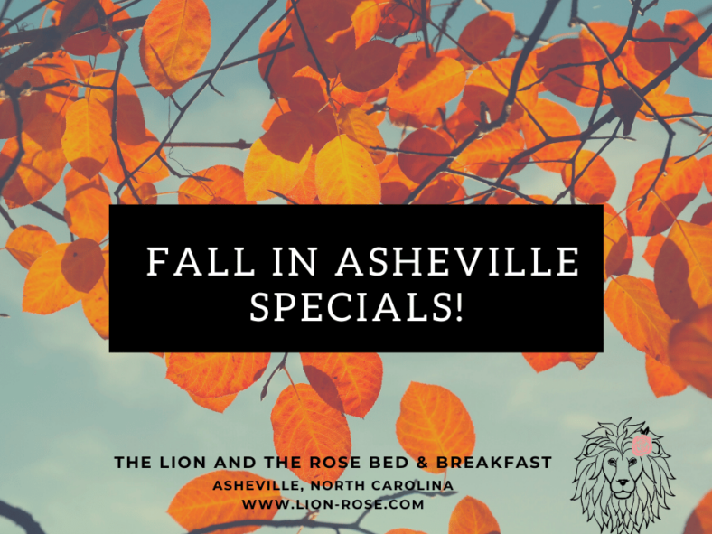 Asheville Fall Specials