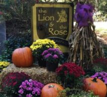 Amenities, The Lion and the Rose