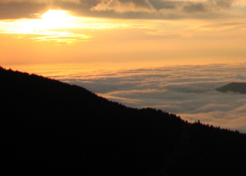 Mount Mitchell State Park