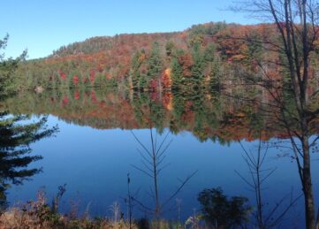 Fall colors at lake