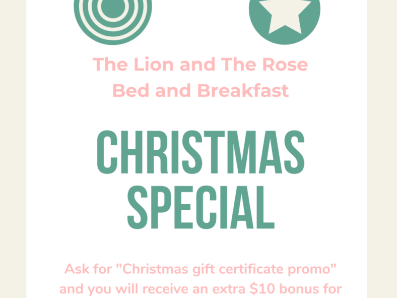 The Lion and the Rose Christmas special